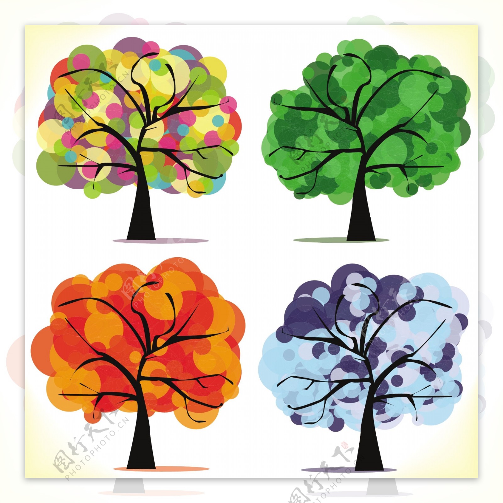 树木的四季变化