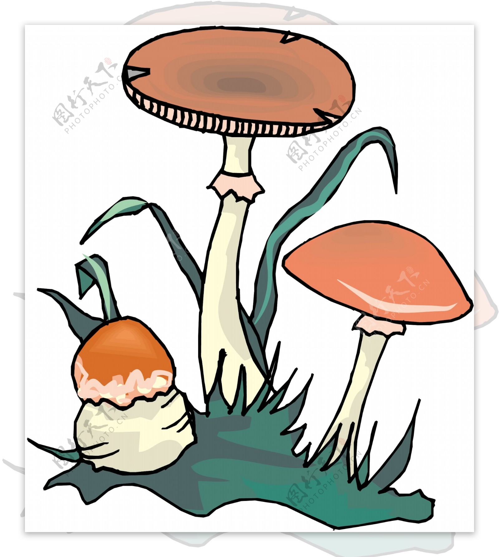 蘑菇植物矢量EPS0078