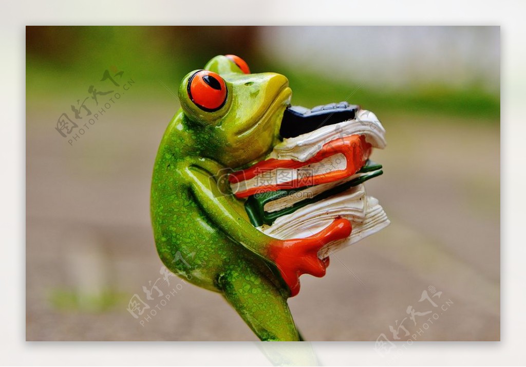 抱着吼吼书本的青蛙