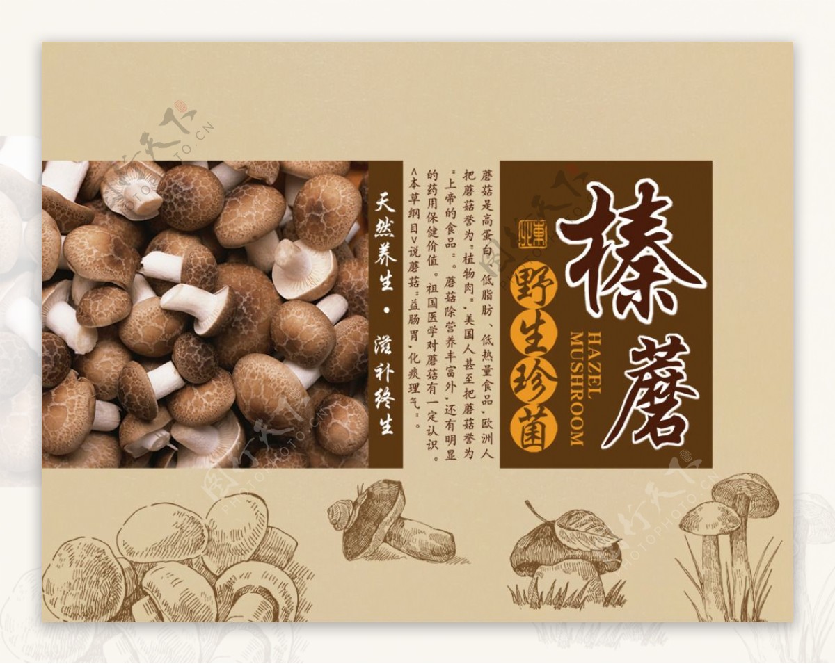 榛蘑食品包装