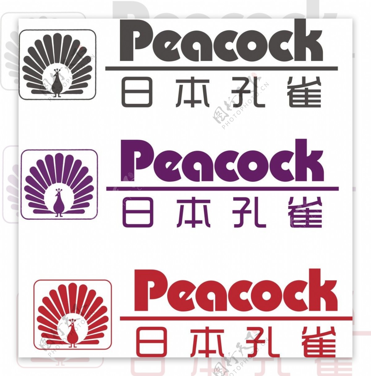 孔雀pdacock品牌水杯标志