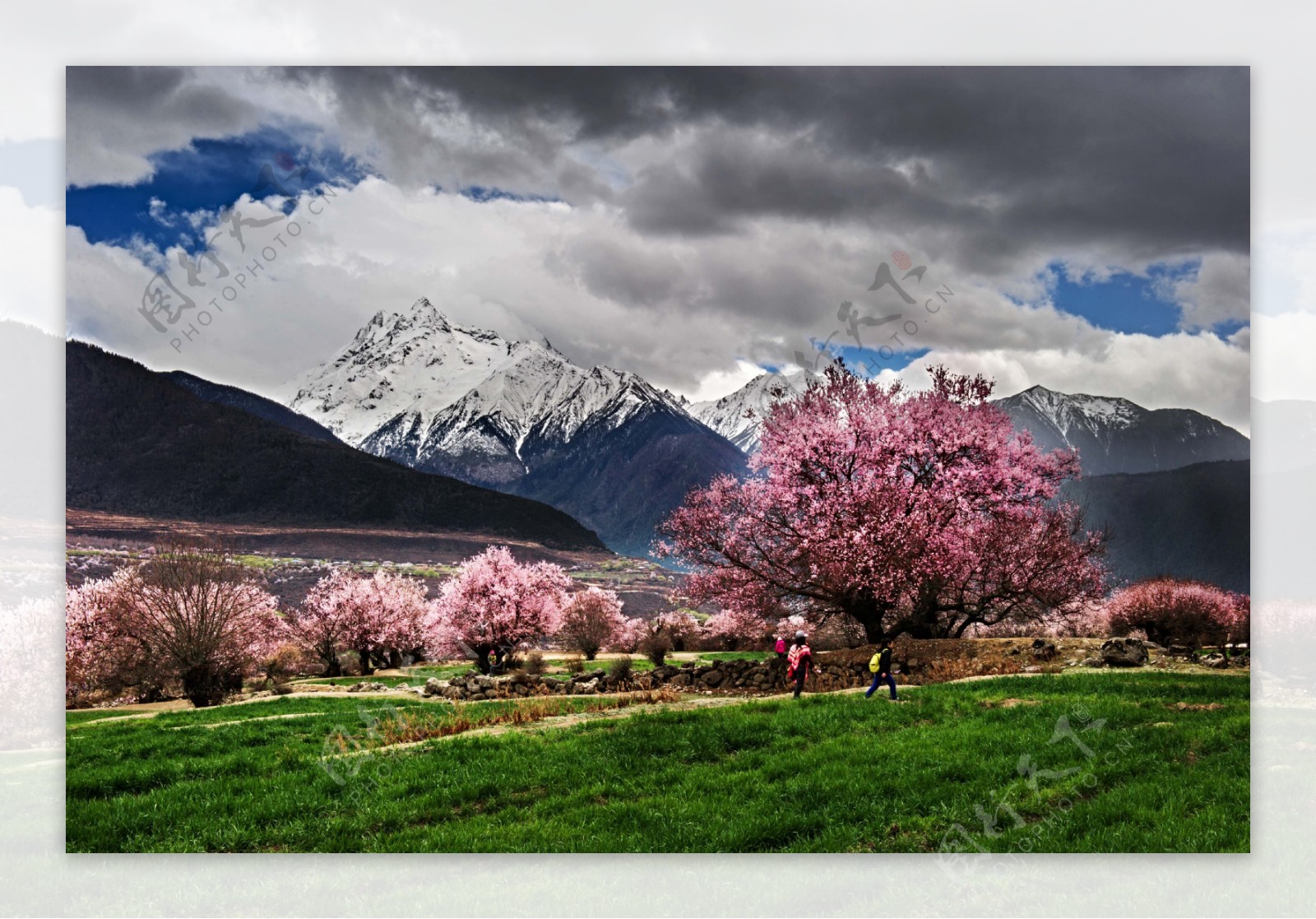 西藏林芝风景