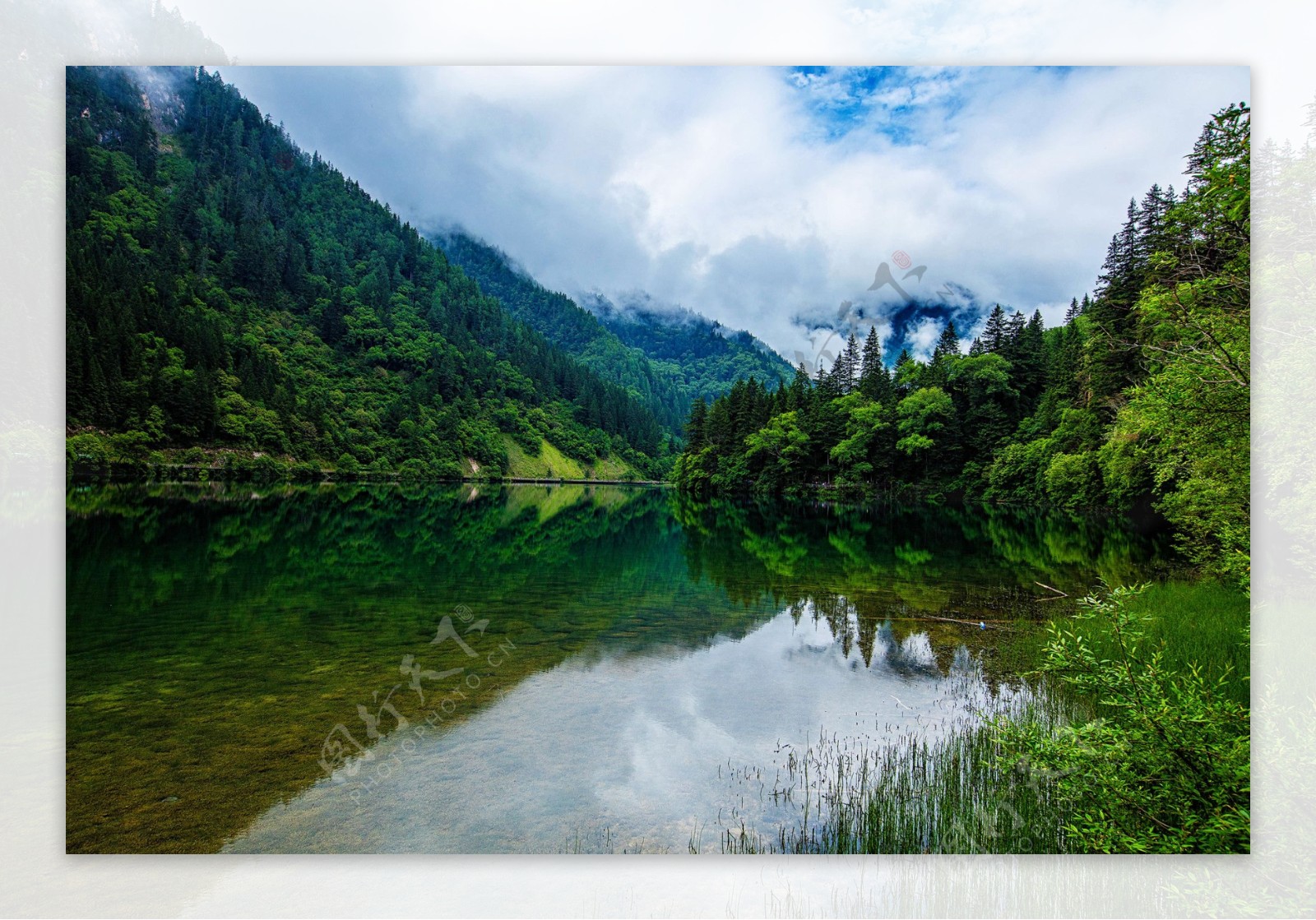 夏日四川九寨沟风景