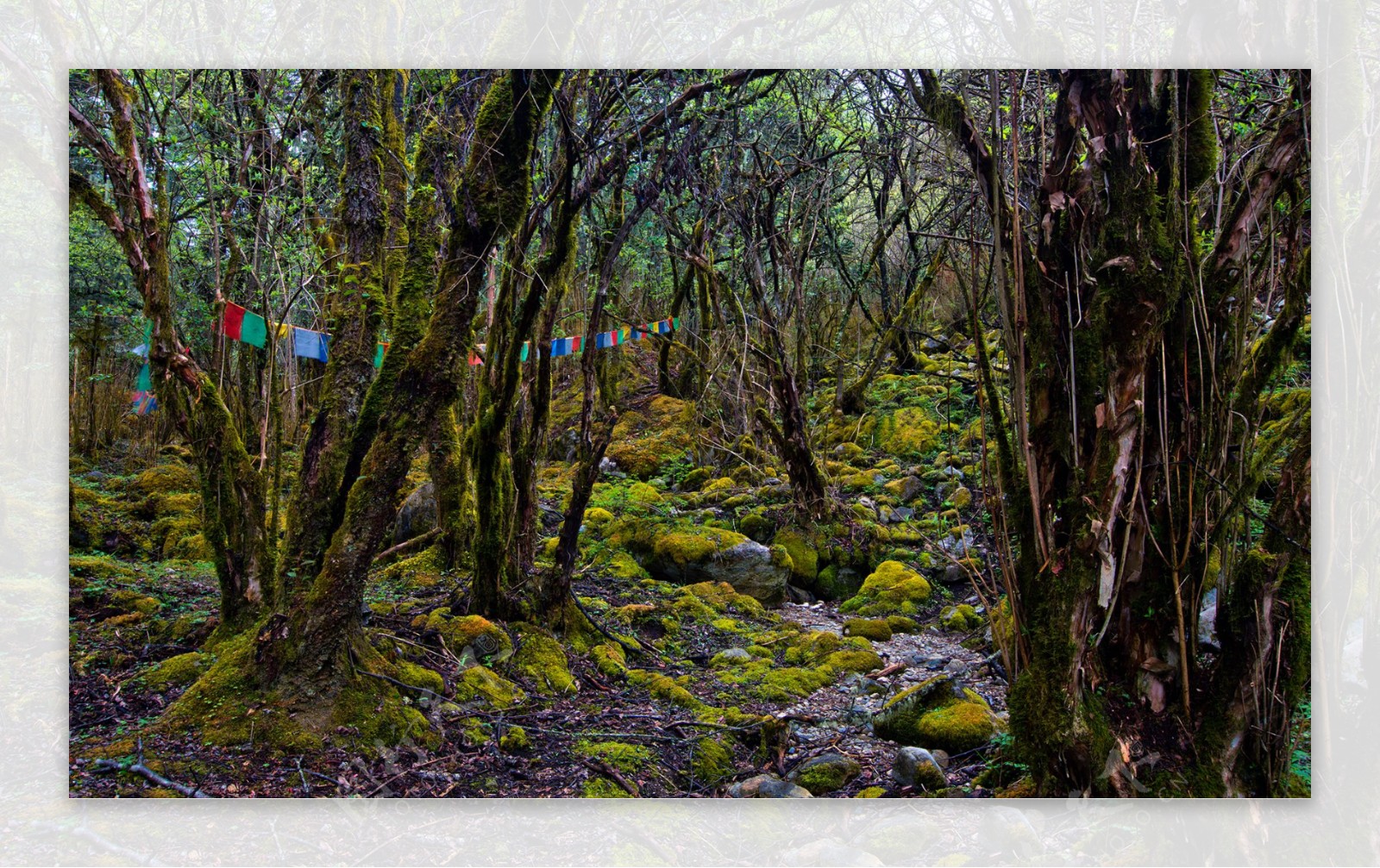 四川康定木格措风景