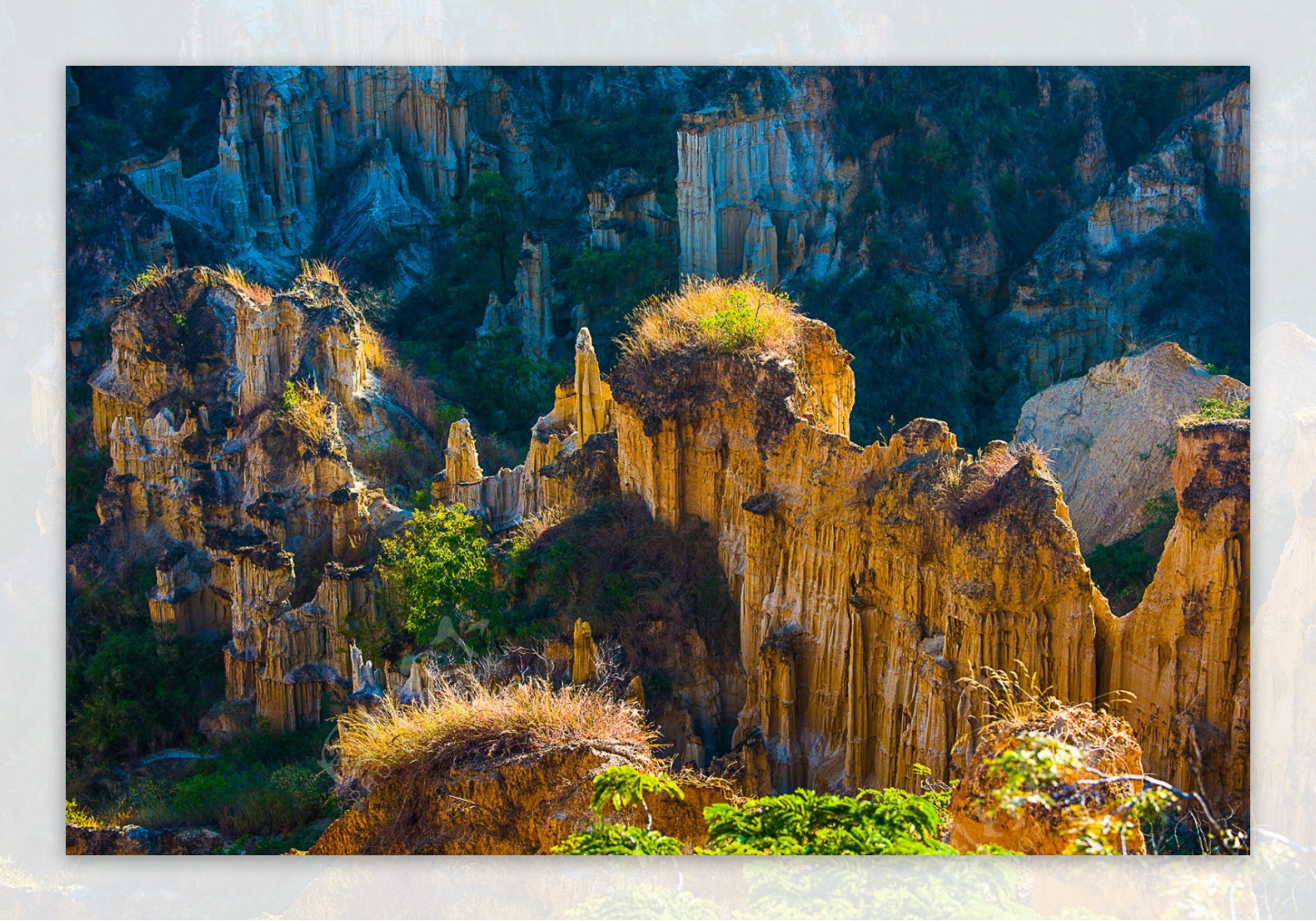 云南昆明物茂土林风景