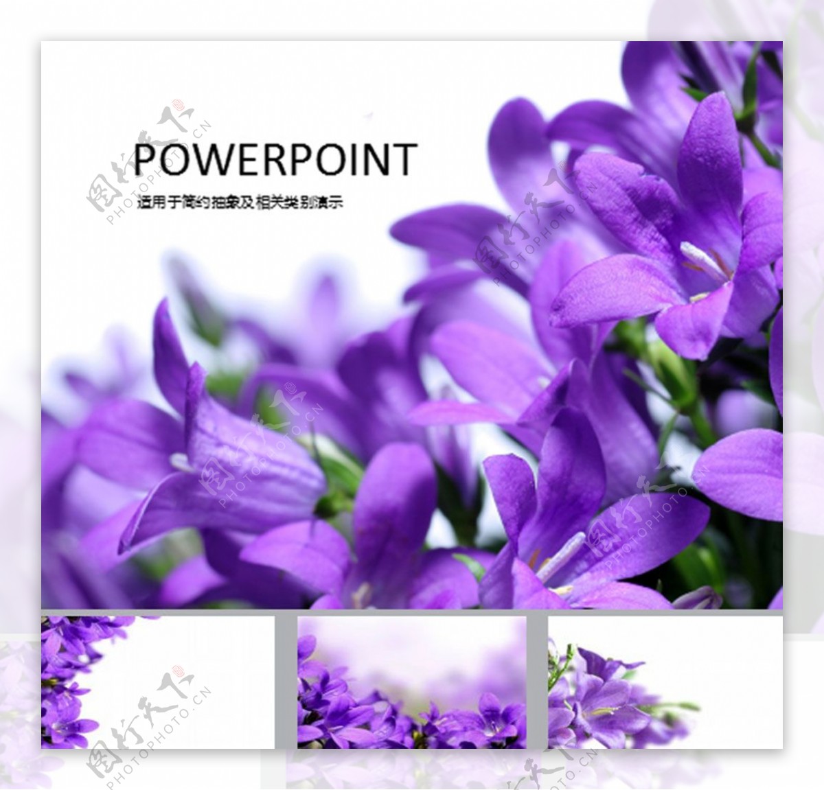 紫色喇叭花浪漫花卉ppt背景图片