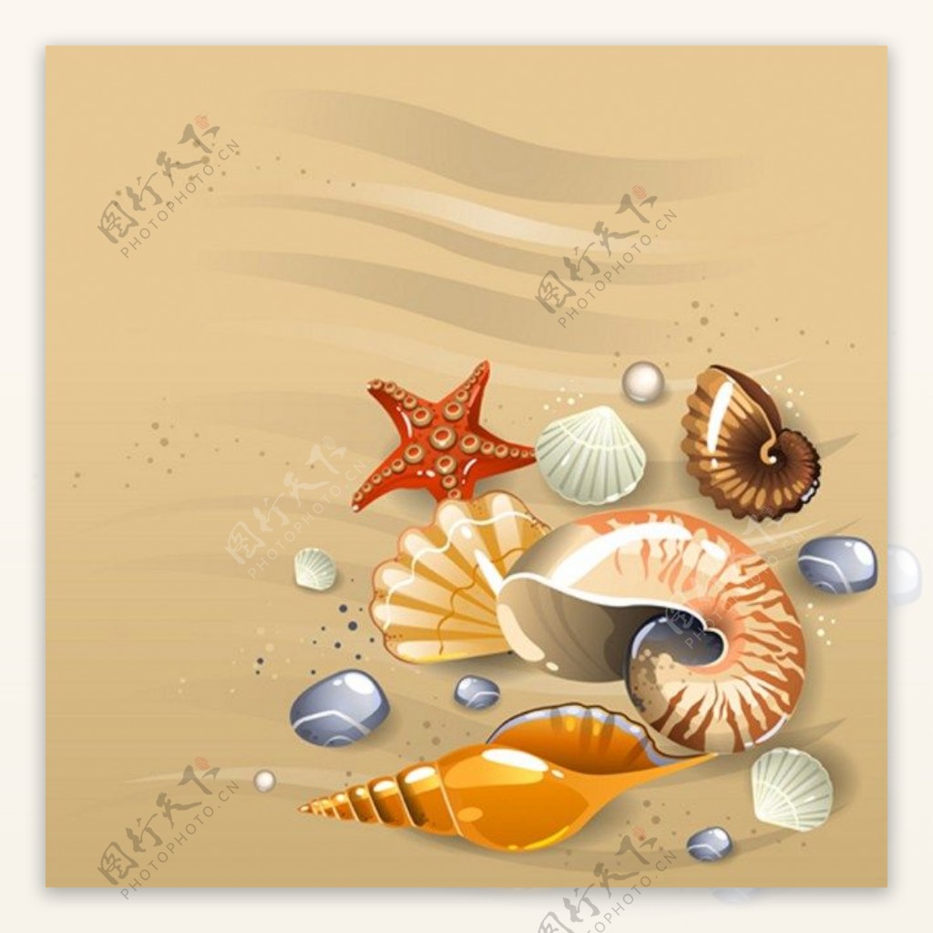 沙滩漂亮贝壳背景图