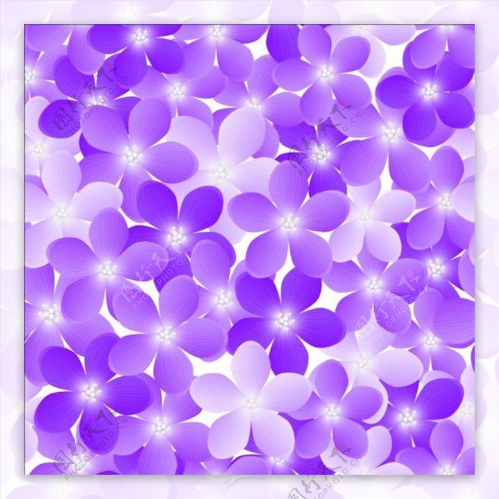 紫色花瓣背景素材