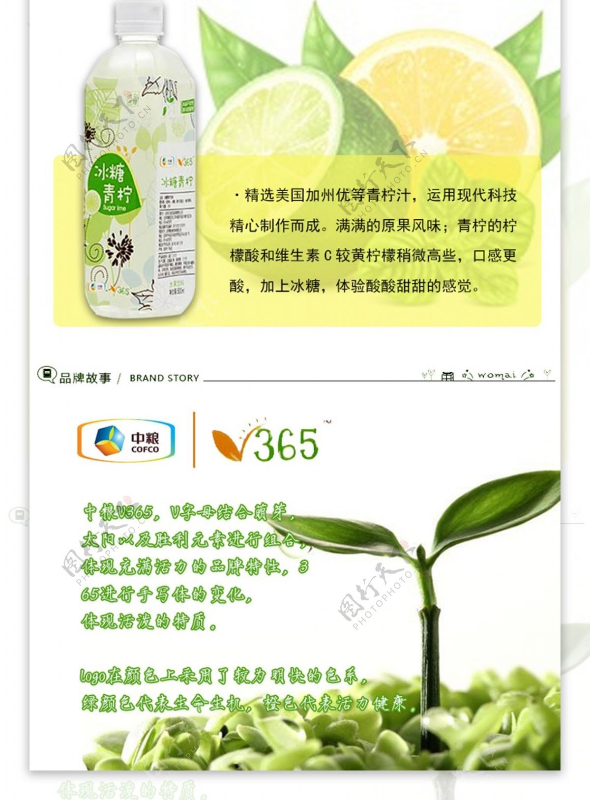 中粮V365茶
