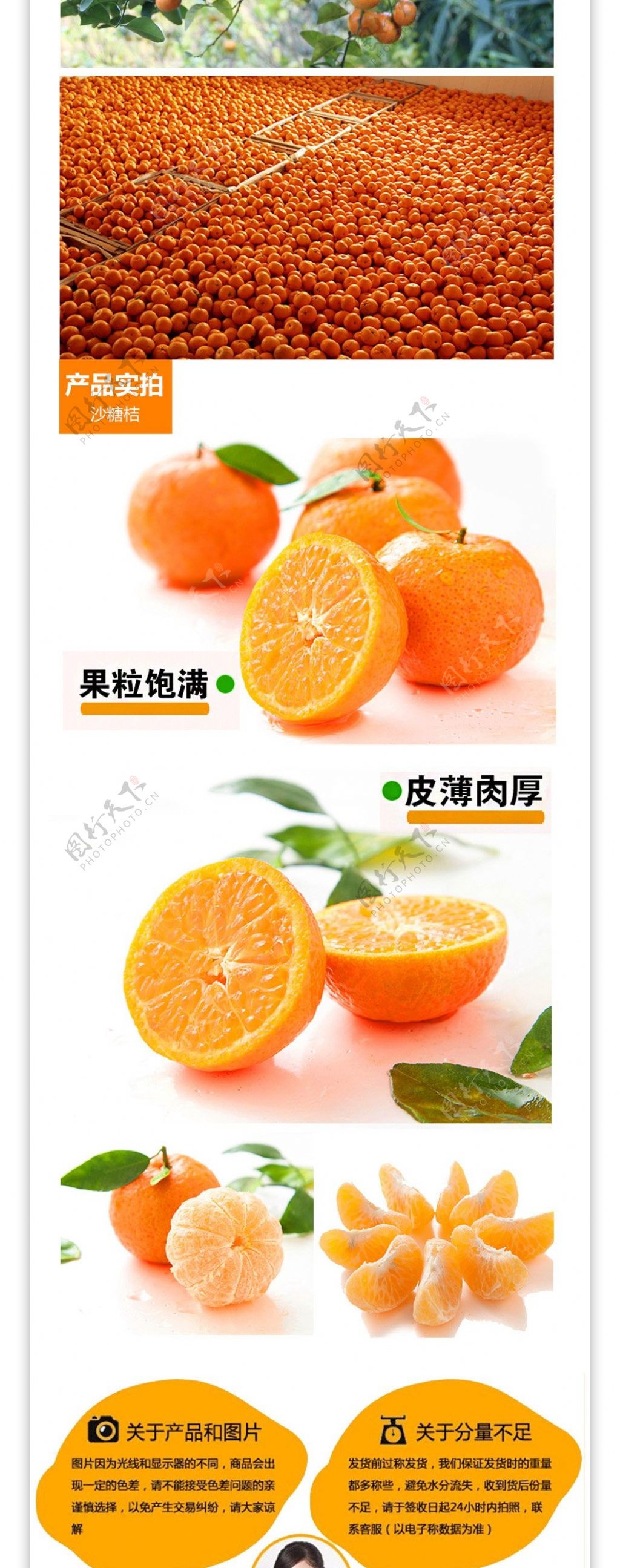 砂糖橘详情页