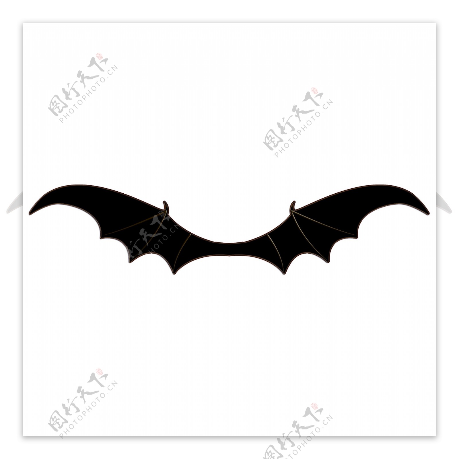 蝙蝠翼图片