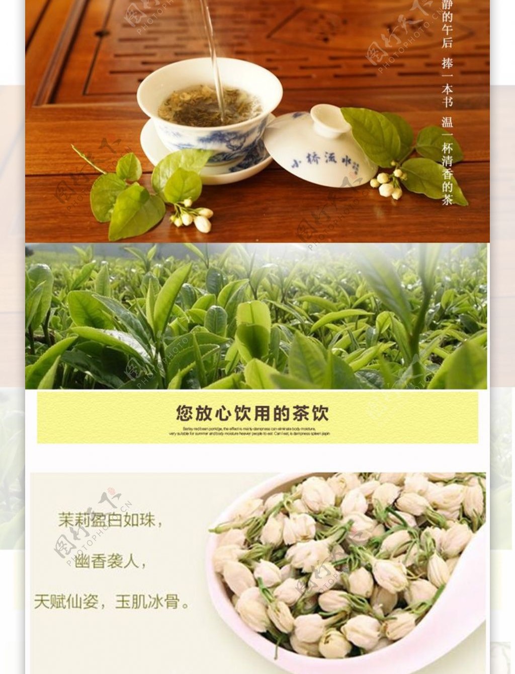 茉莉花普洱茶详情页茉莉花茶普洱茶