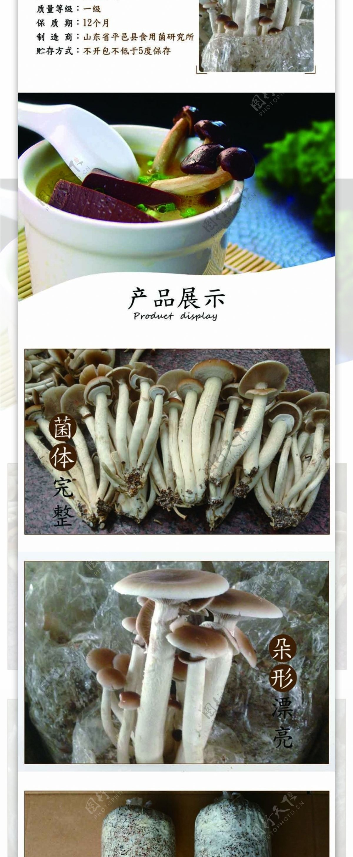 淘宝茶树菇详情页模版