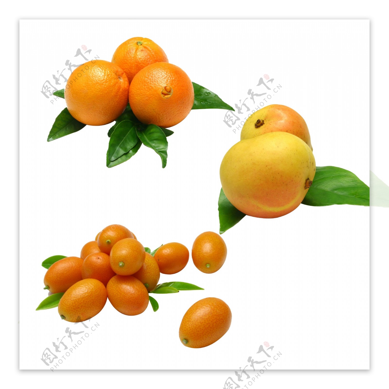 芒果橙子金桔