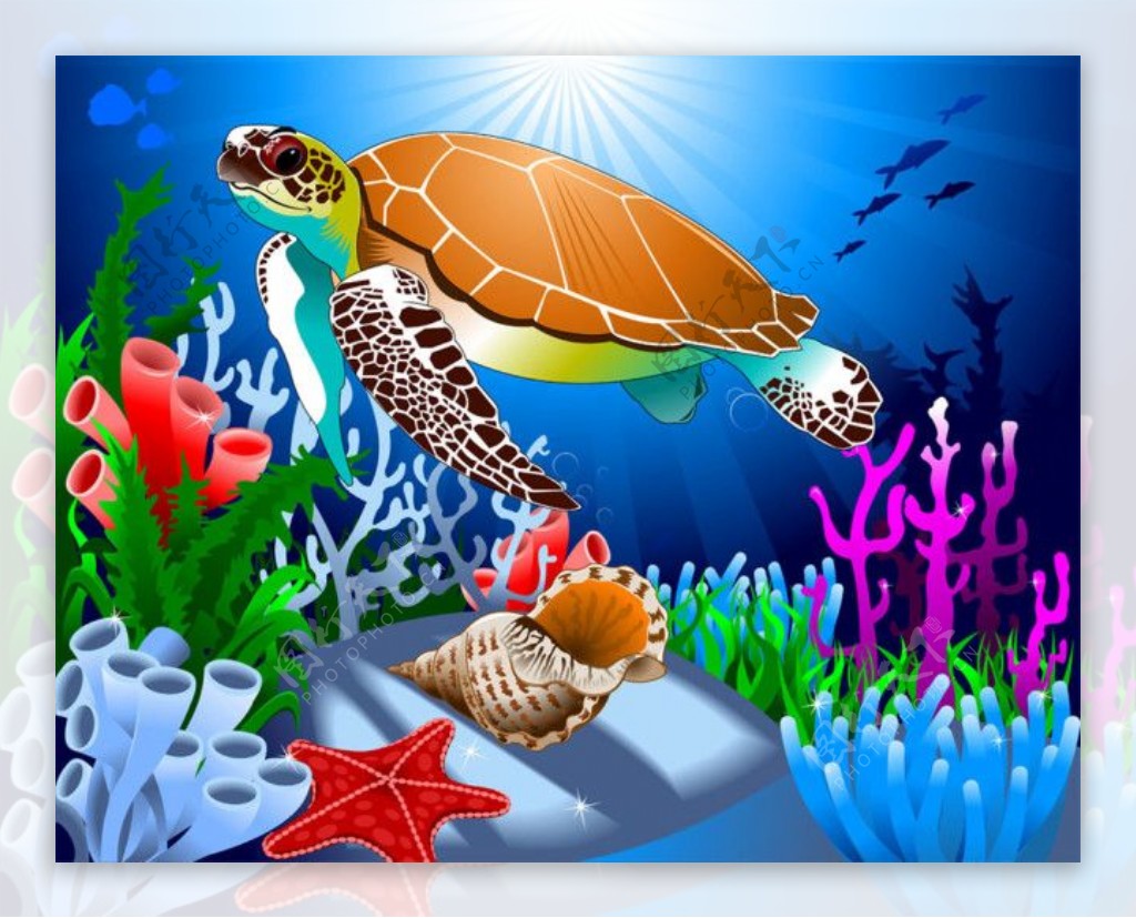 彩色的海底和海龟图片
