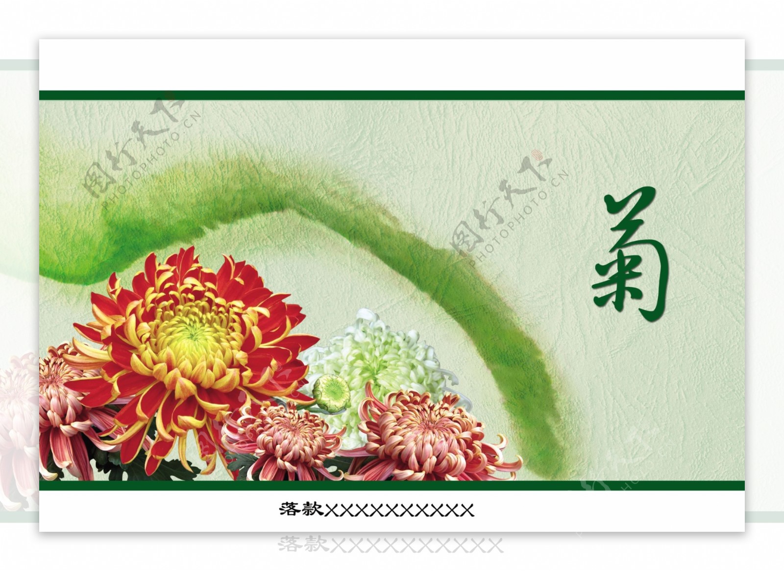 菊花卡片