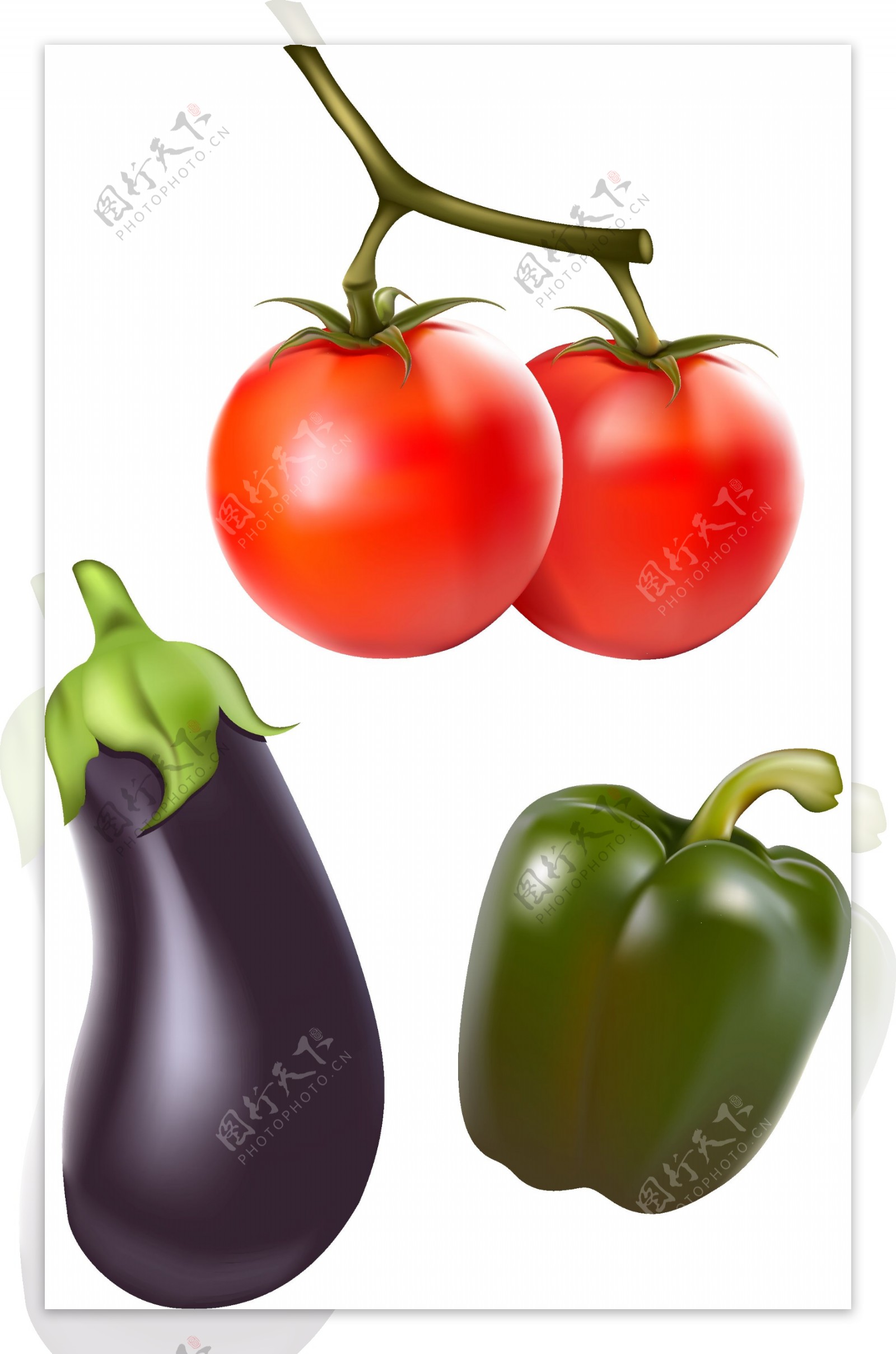 西红柿茄子青椒