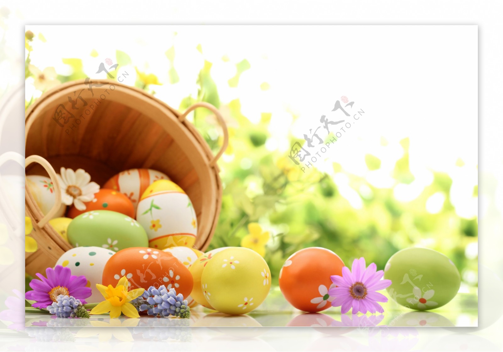 彩蛋和鲜花图片