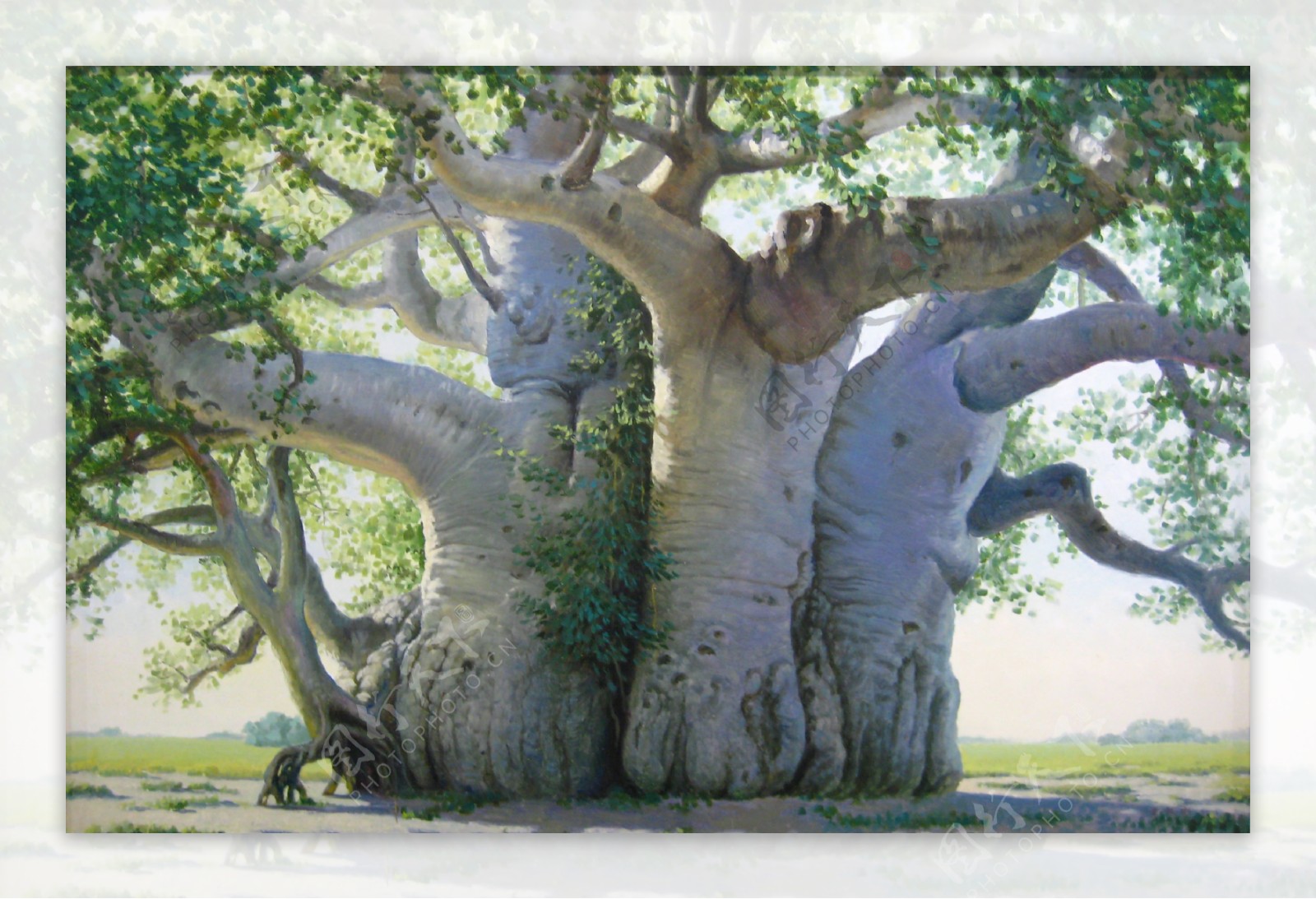 手绘大树背景图片
