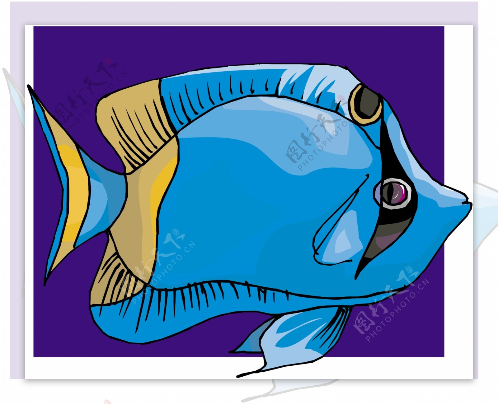 五彩小鱼水生动物矢量素材EPS格式0083