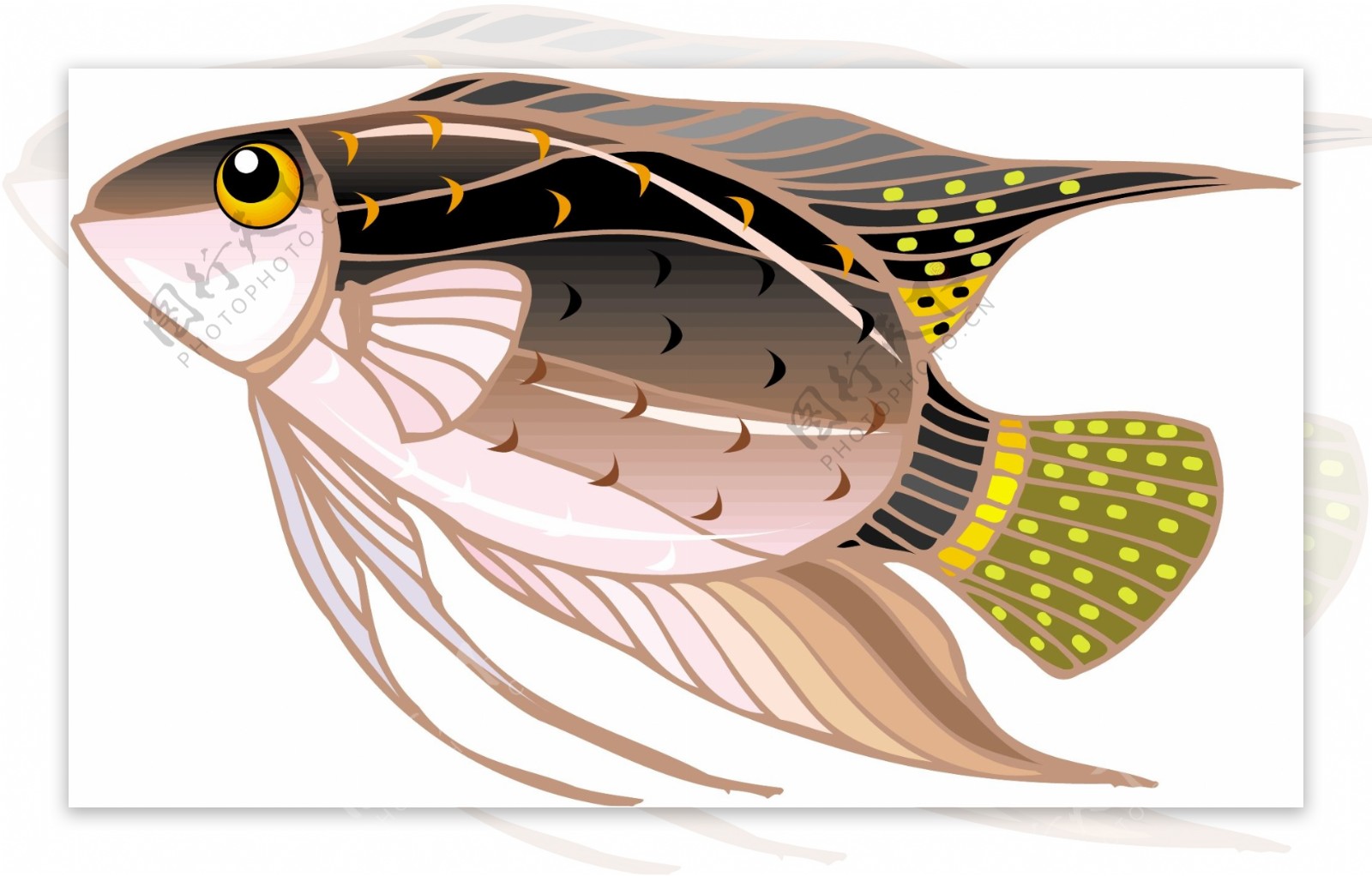 五彩小鱼水生动物矢量素材EPS格式0148