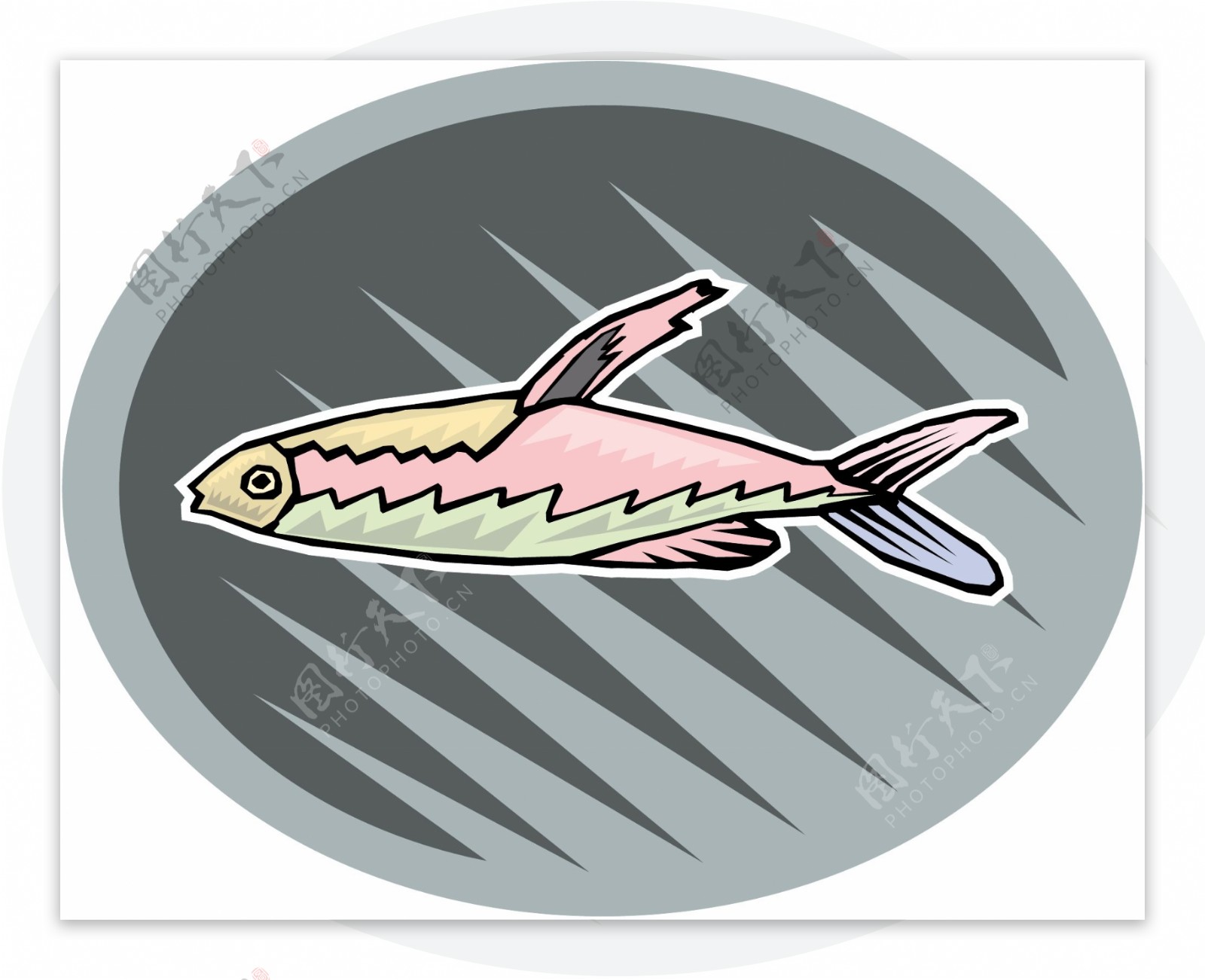 五彩小鱼水生动物矢量素材EPS格式0505