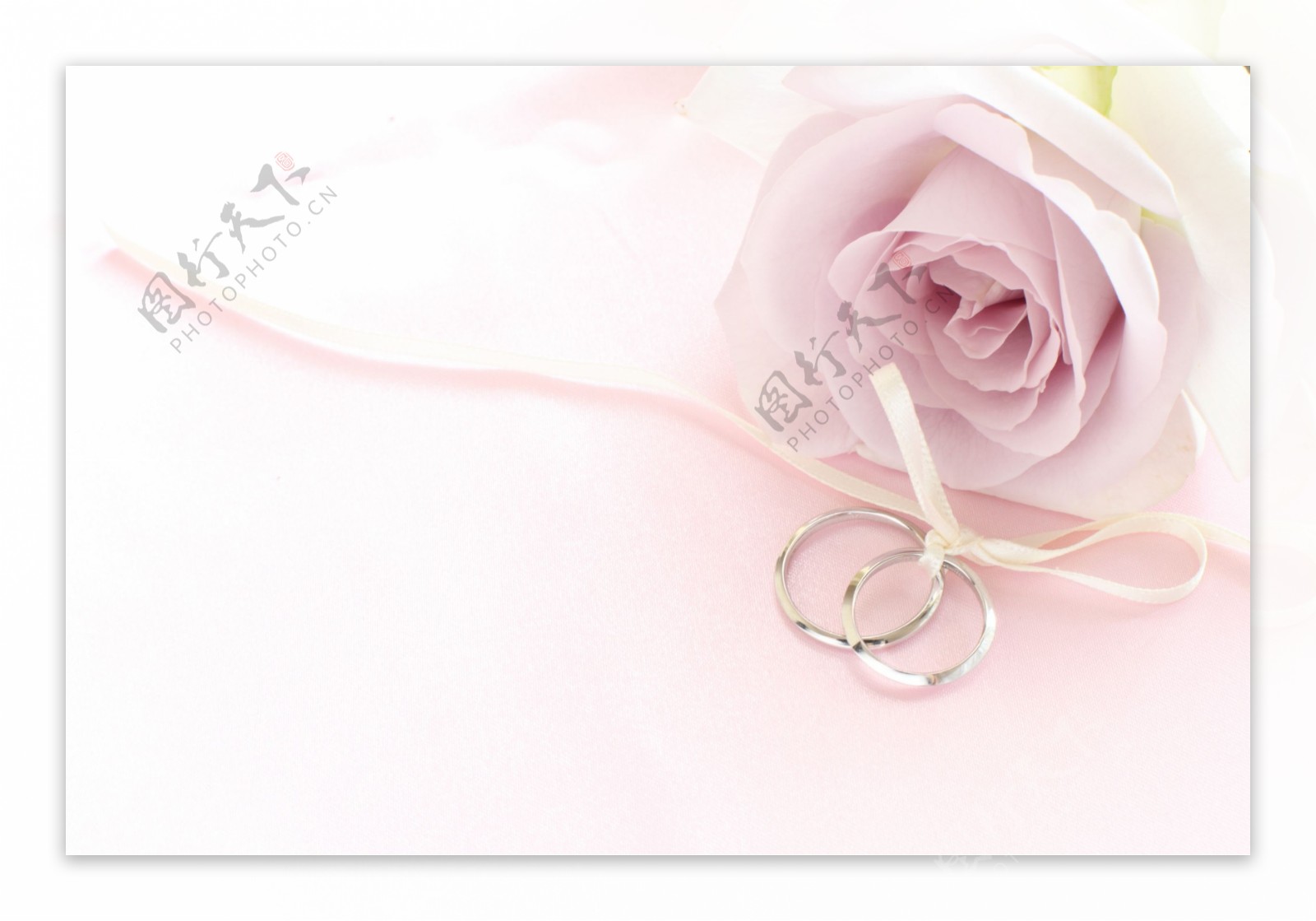 玫瑰花与结婚戒指图片