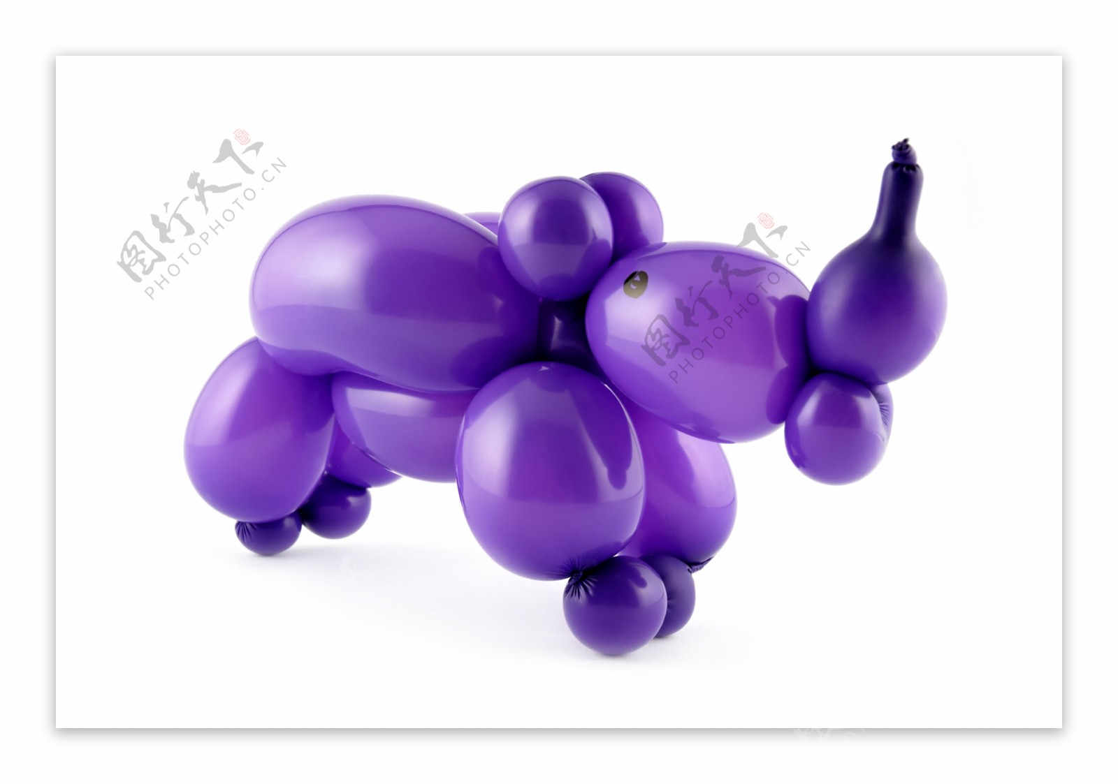 紫色可爱气球动物图片