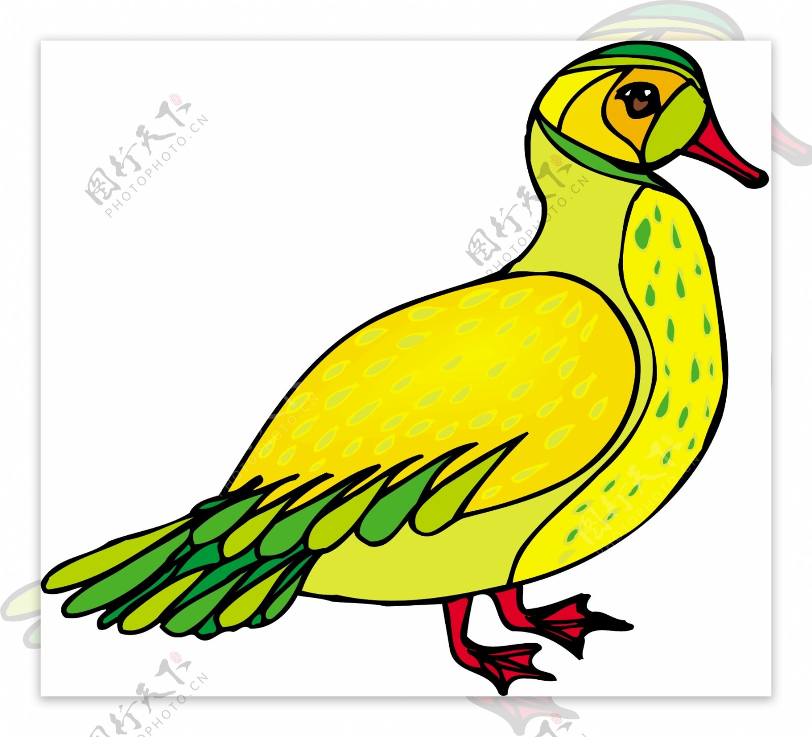 各种鸟类鸟动物矢量素材EPS格式0724