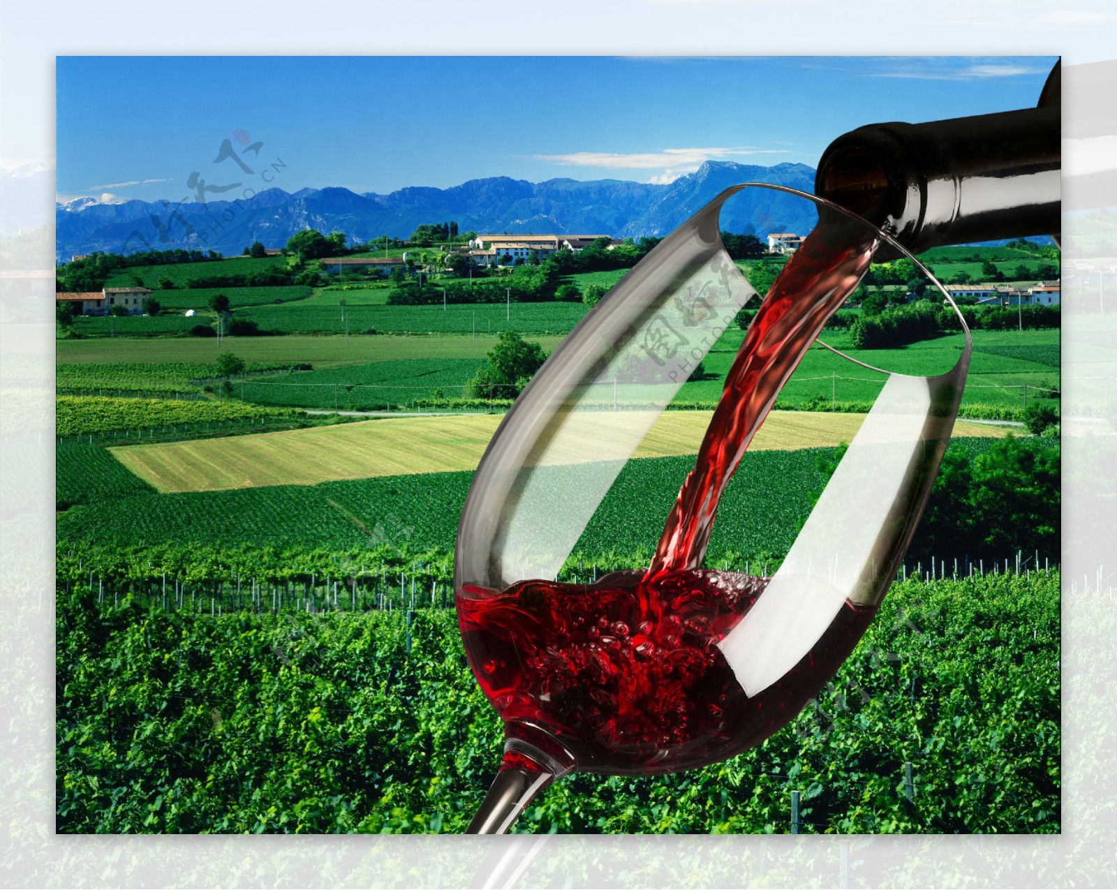 红酒酿造产地背景图片