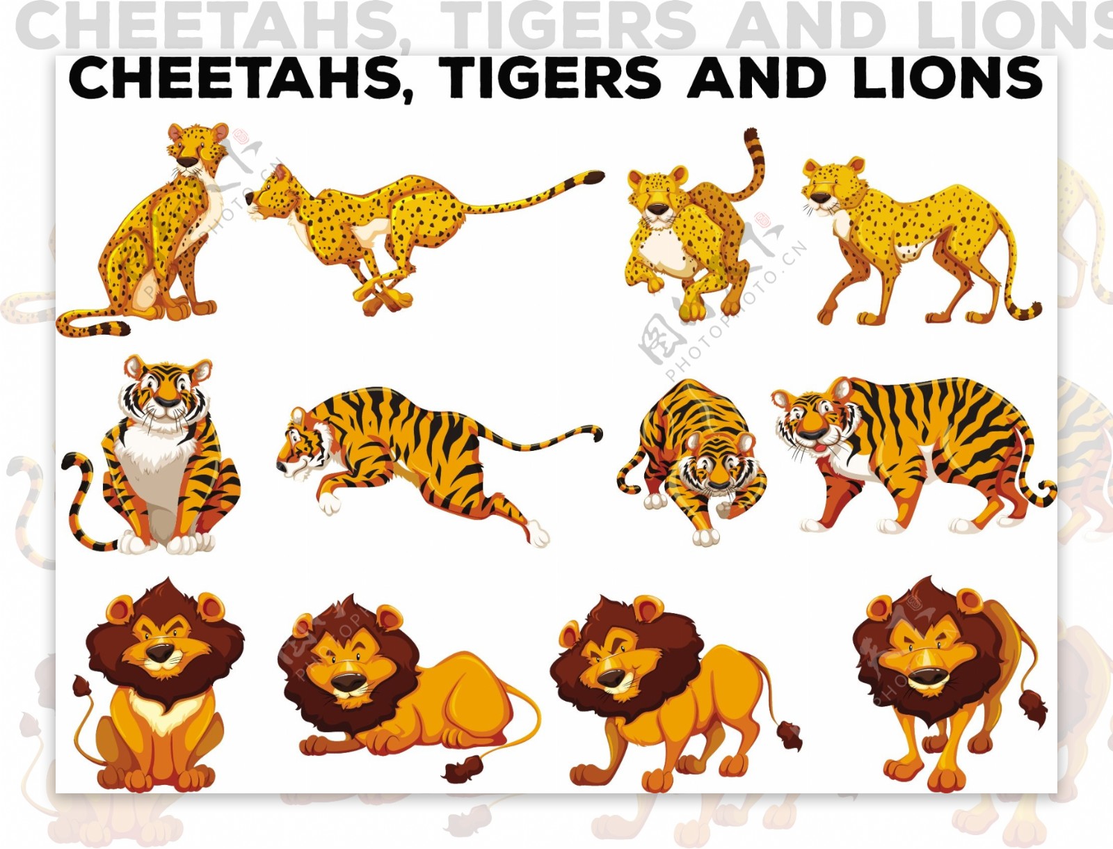 一套猎豹和老虎插图