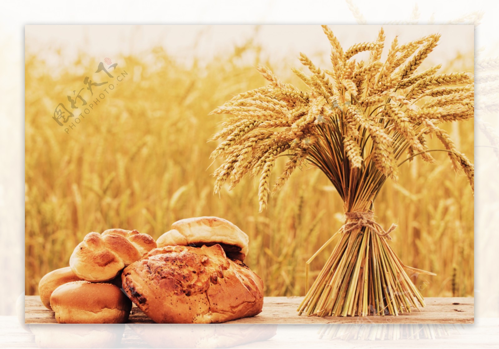 麦穗与全麦面包图片