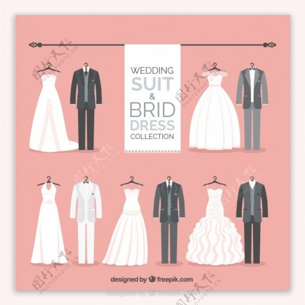 时尚婚纱礼服的集合和鸟