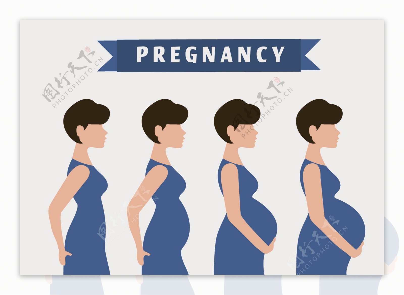 怀孕过程插画