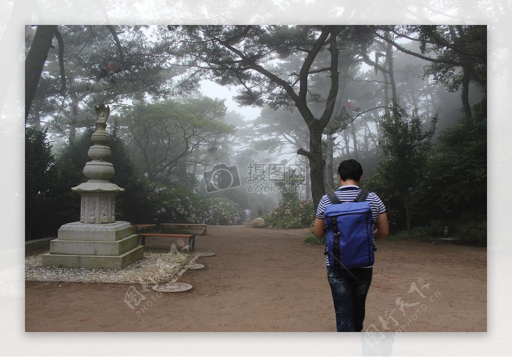 寺黎明旅行雾安静釜山景观