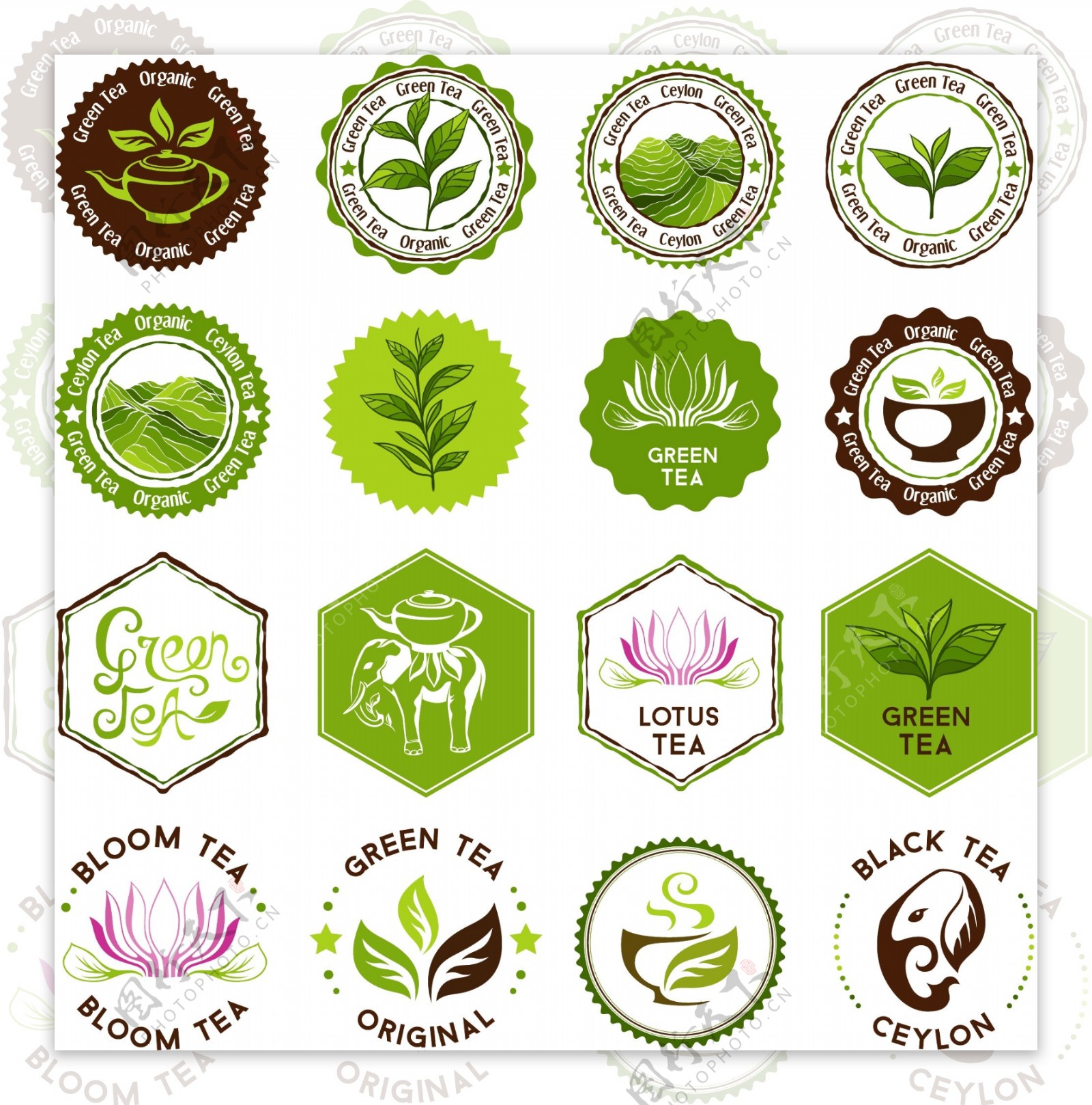 绿色茶叶泰国图标