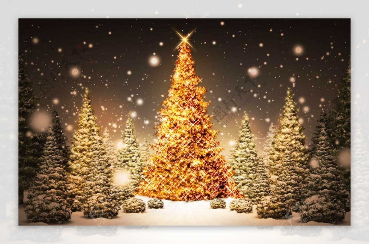 金色圣诞树壁纸图片