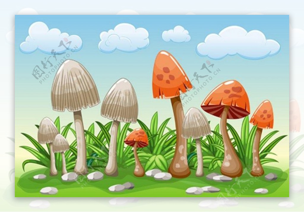 蘑菇草地背景素材