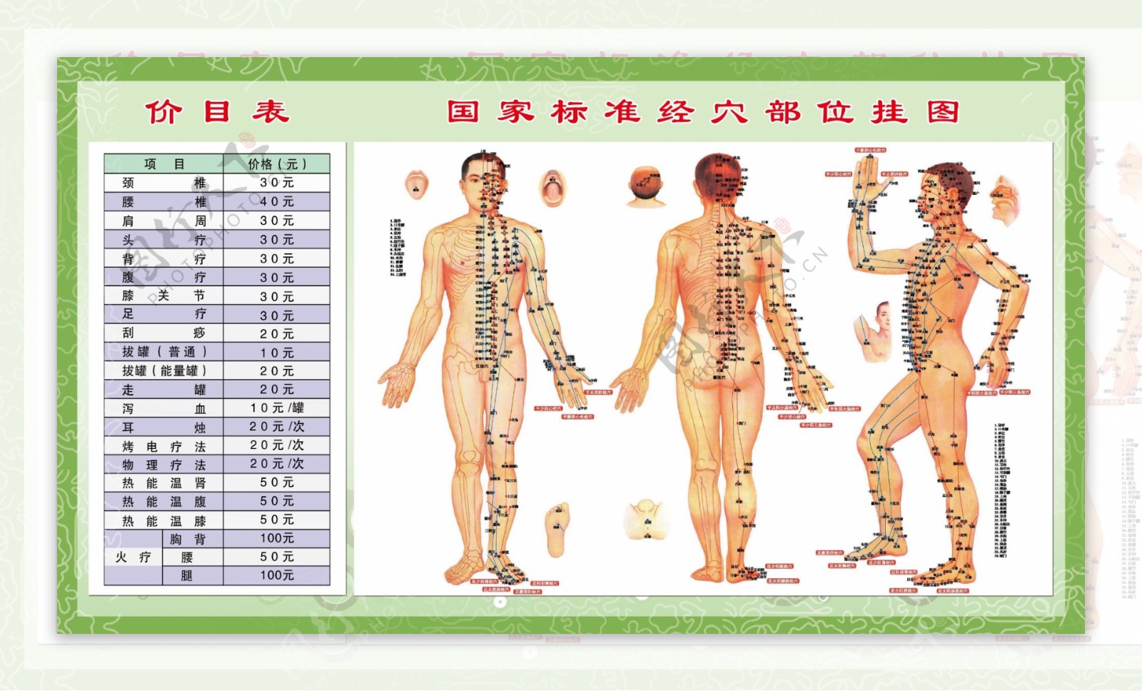 国家标准经穴部位挂图