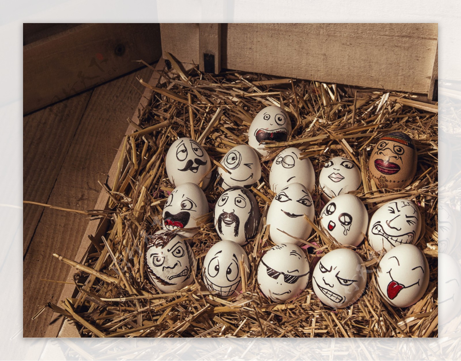 木箱里的可爱鸡蛋