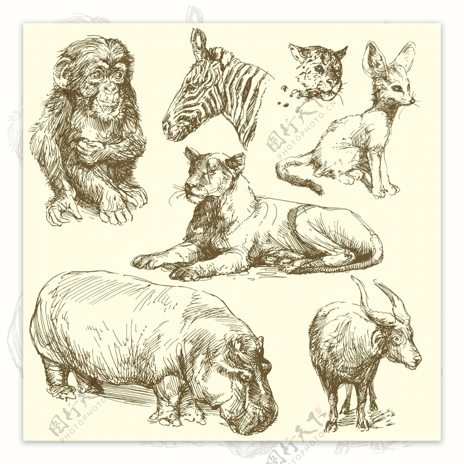 7款手绘野生动物矢量素材