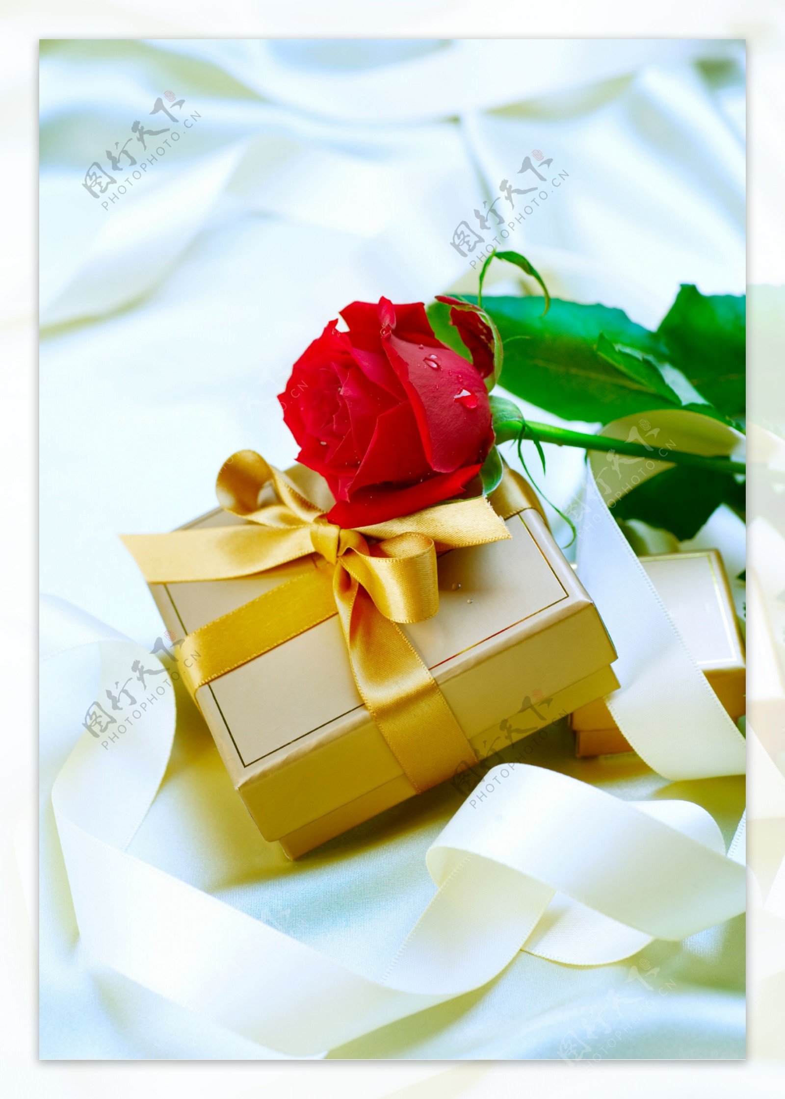 玫瑰花与礼物图片