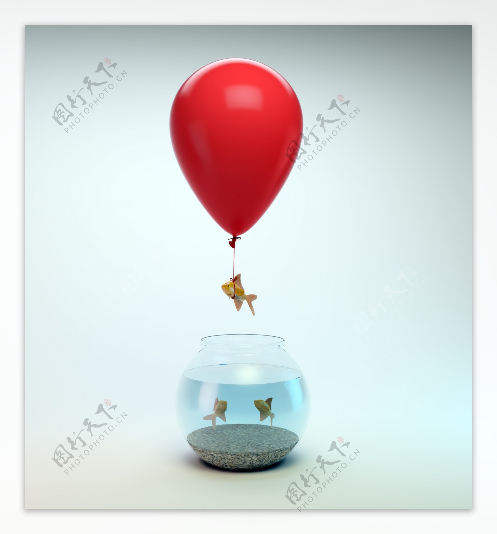 用气球飞出鱼缸的鱼图片