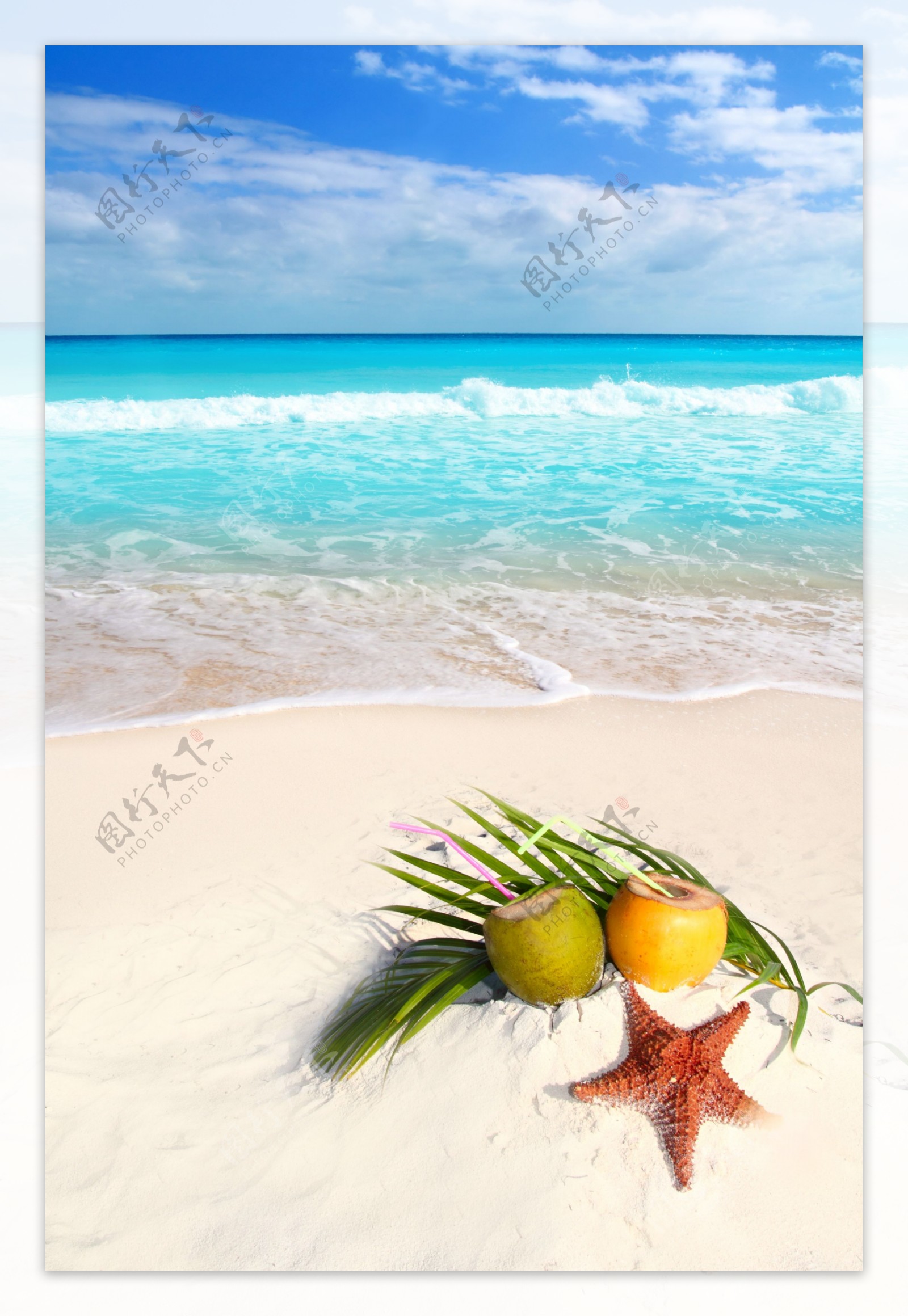 沙滩上的椰子汁与海星图片