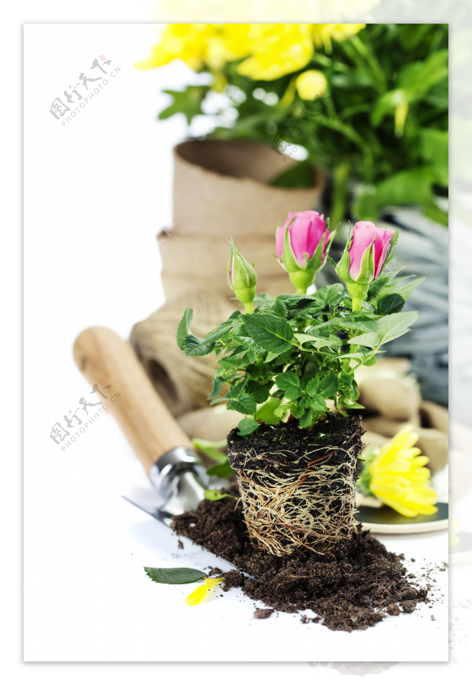 花卉和园林工具