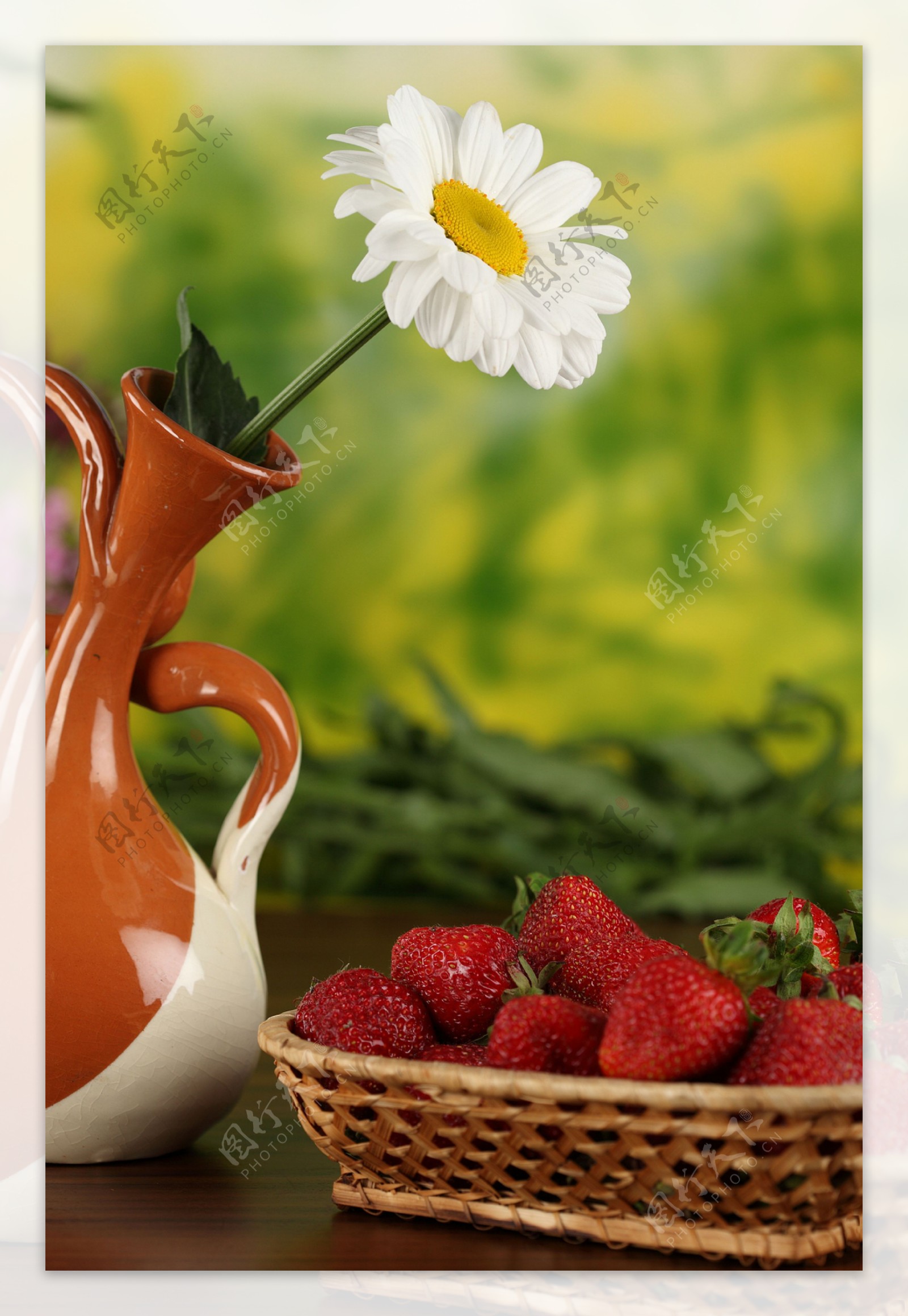 花瓶里的菊花和草莓
