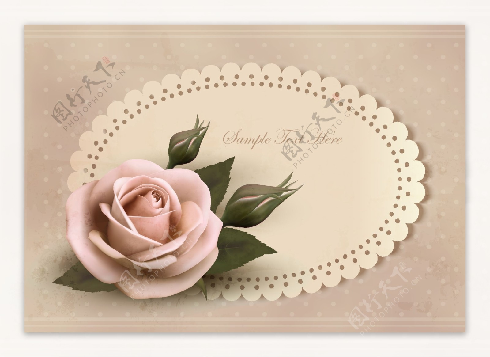 怀旧玫瑰装饰卡片图片