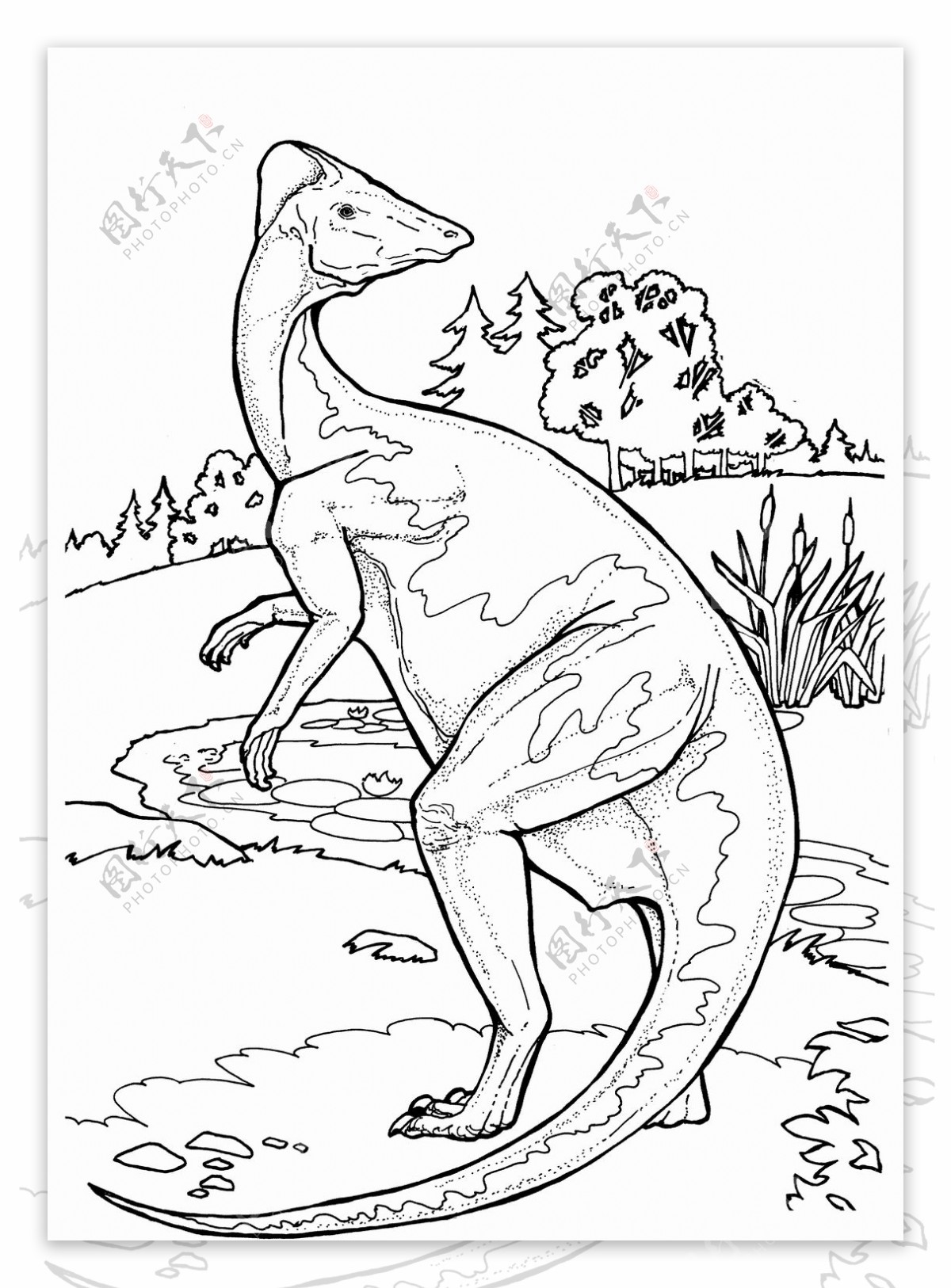 超萌超可爱的恐龙简笔画，简单几步就能学会哦！_龙的