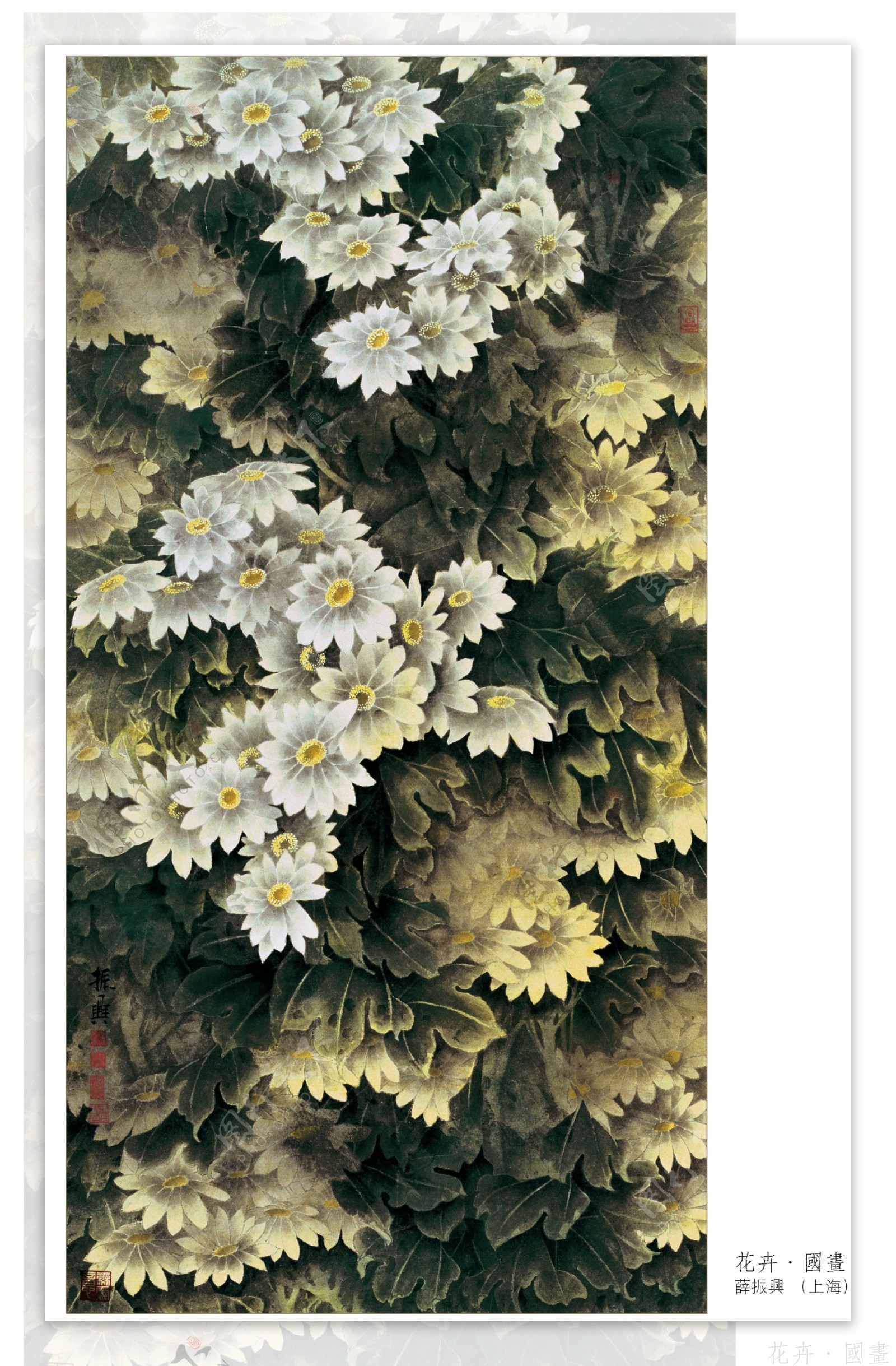 花卉叶子背景画图片