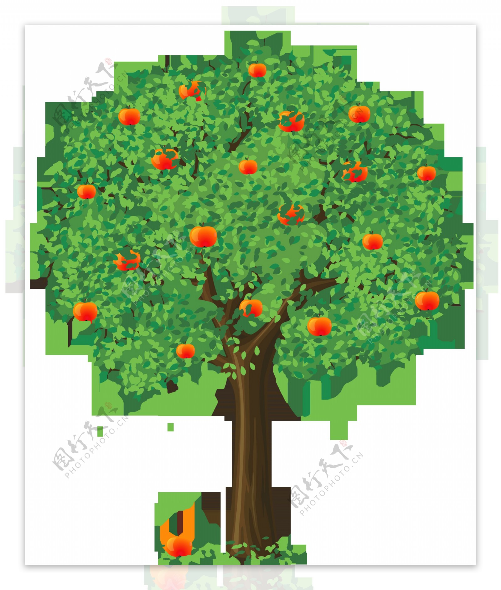 果树插画图片